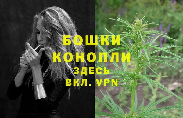 спиды Богородск