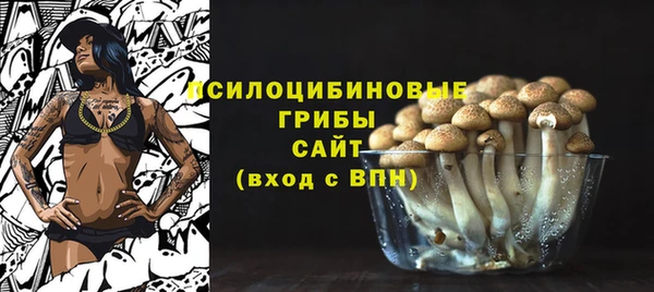 спиды Богородск