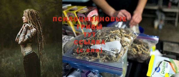 a pvp Богданович